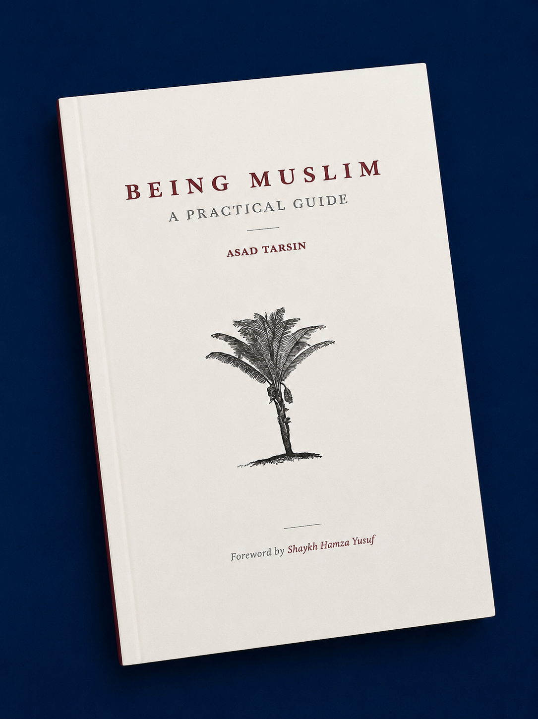 Being Muslim - A Pratical Guide