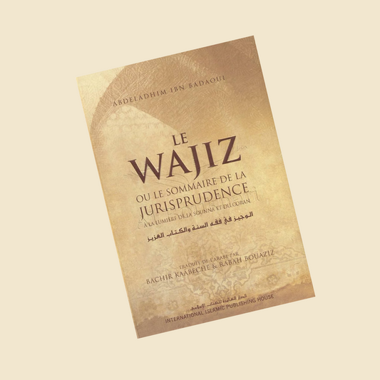 Le Wajiz ou le sommaire de la jurisprudence